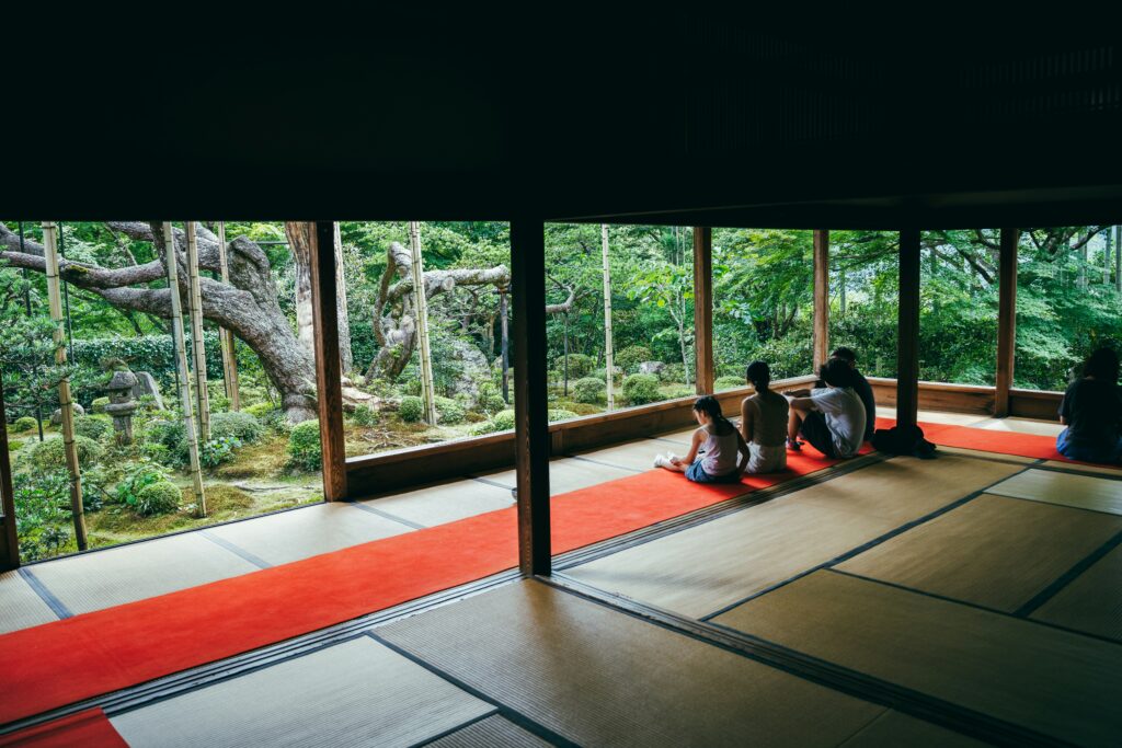 Meditation